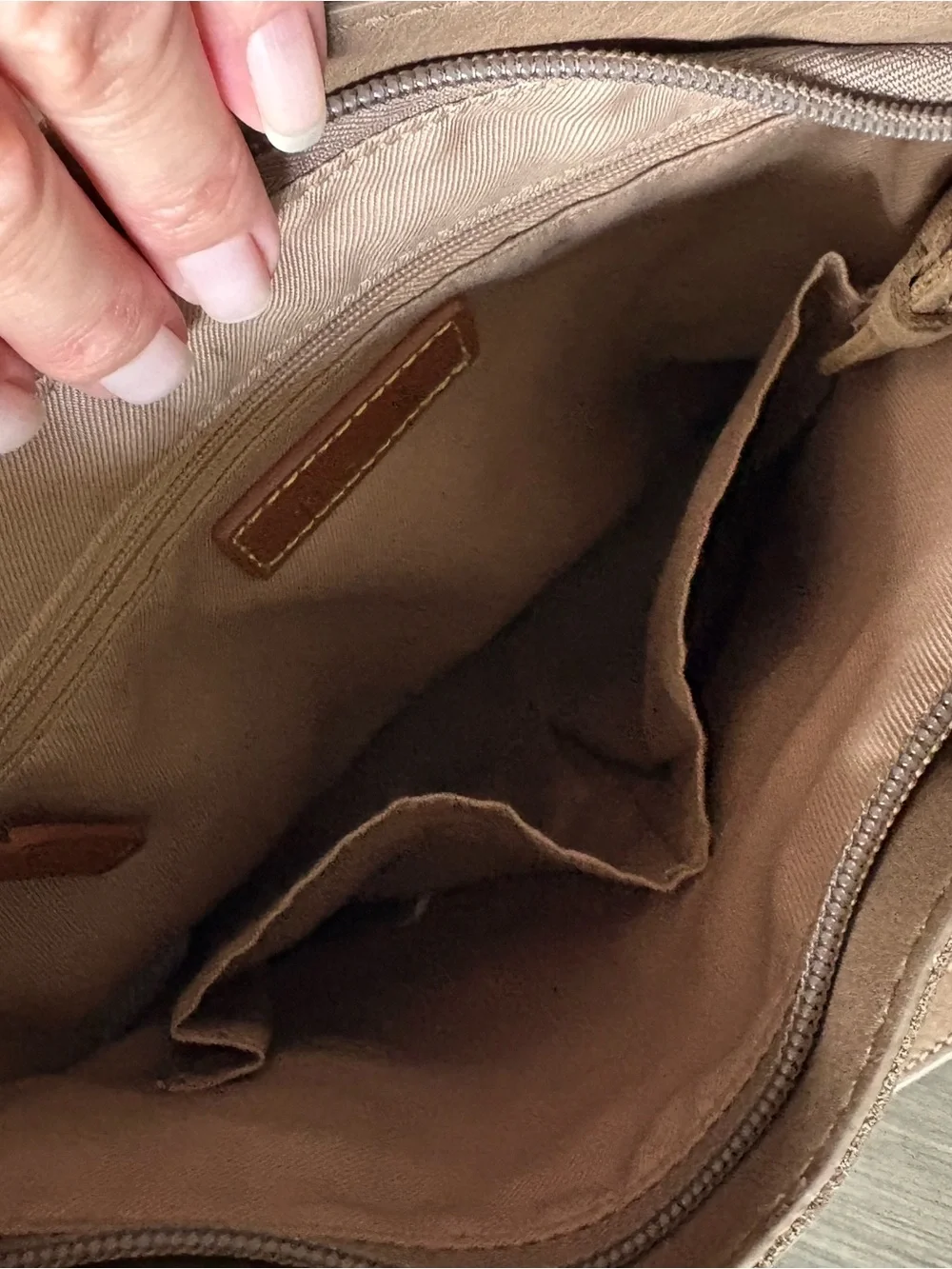 The Sak De Young Hobo Bag with Snakeskin Accent Trim